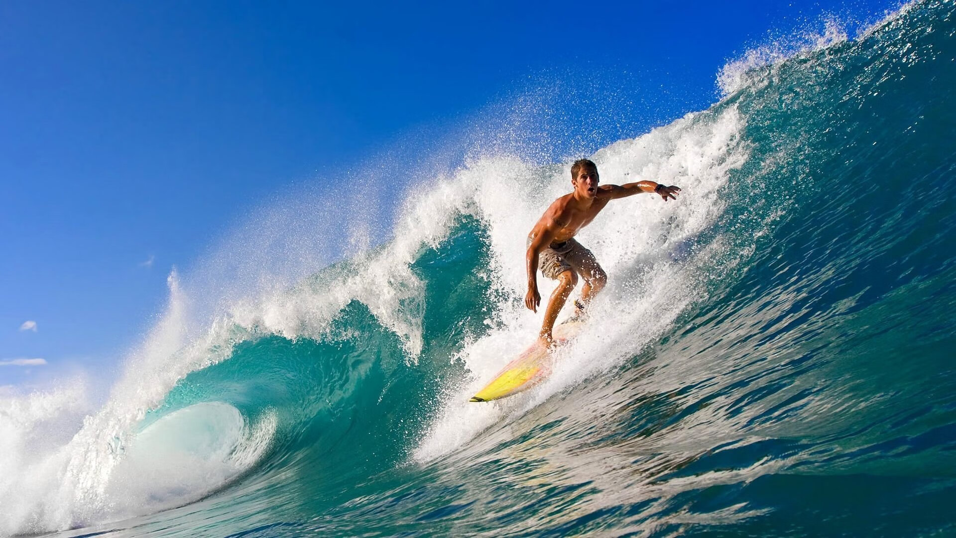 体育新闻中心通报各大省市训练基地运行情况,省级体育训练基地